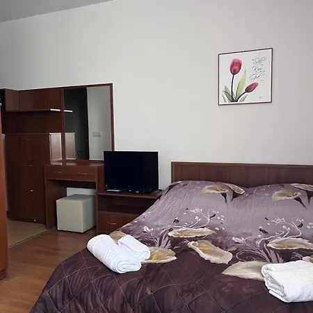 Apartment Kalina Apartment's In Bansko