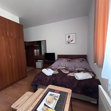 Kalina Apartment's In アパート バンスコ