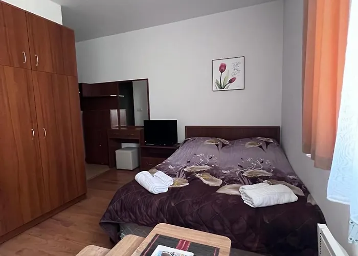 Kalina Apartment's In 公寓 班斯科